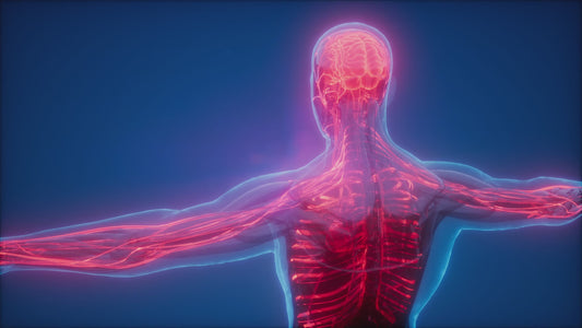 SMP Comprehensive Health Scan